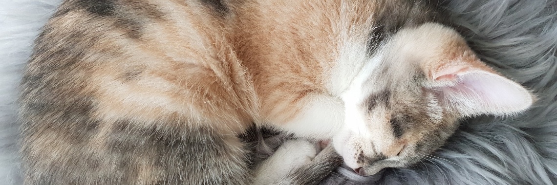 Wakker worden met Monster | 028melissa