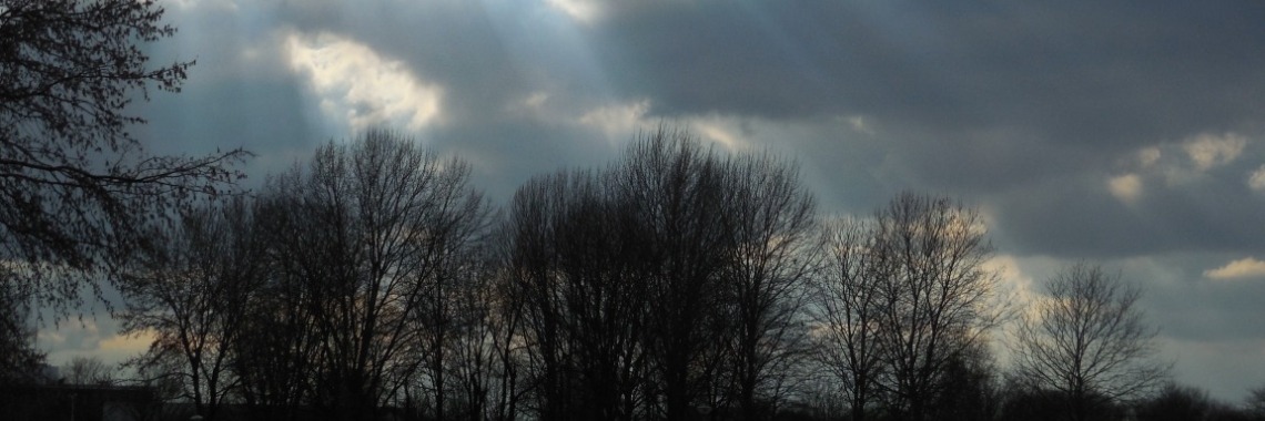 De islamisering van Europa in opdracht van de EU | EliseNijmegen