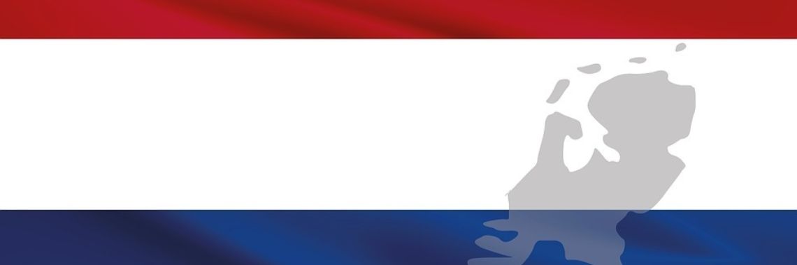 Er komen belangrijke verkiezingen aan! | EliseNijmegen