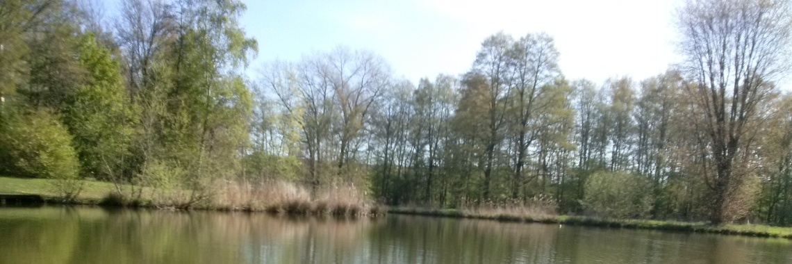 Het recht op rechtsbijstand moet voor iedereen zijn! | EliseNijmegen