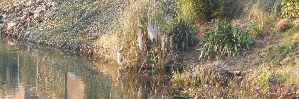 Waarom wordt er nooit gesproken over... | EliseNijmegen