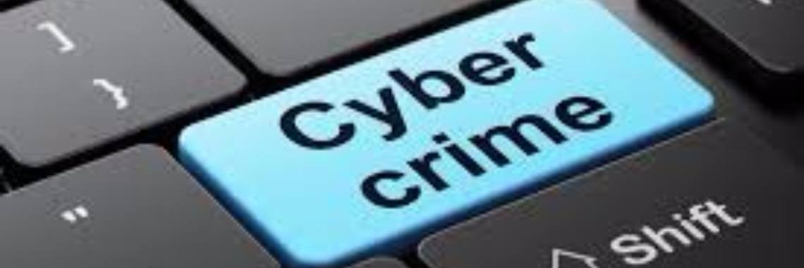 Hoed je voor cybercriminelen! | Lou Geluyckens