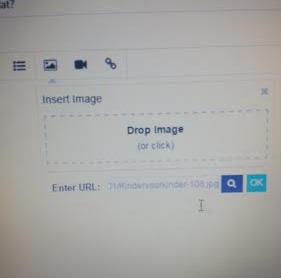 Image title