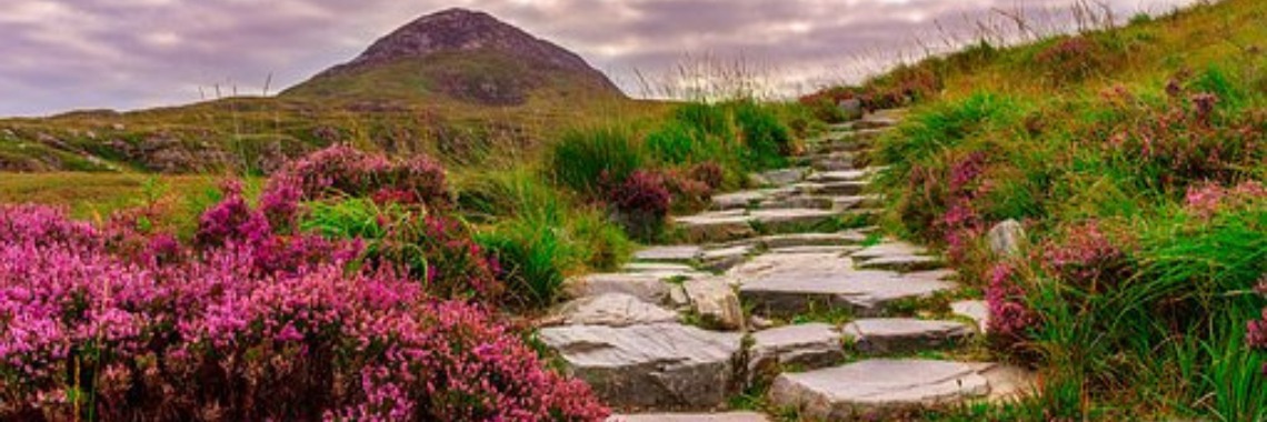 Verbeelding | Gele Hesjes 🔔