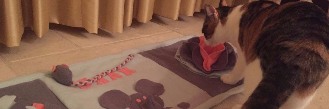 Hersenwerk voor katten | Petrage