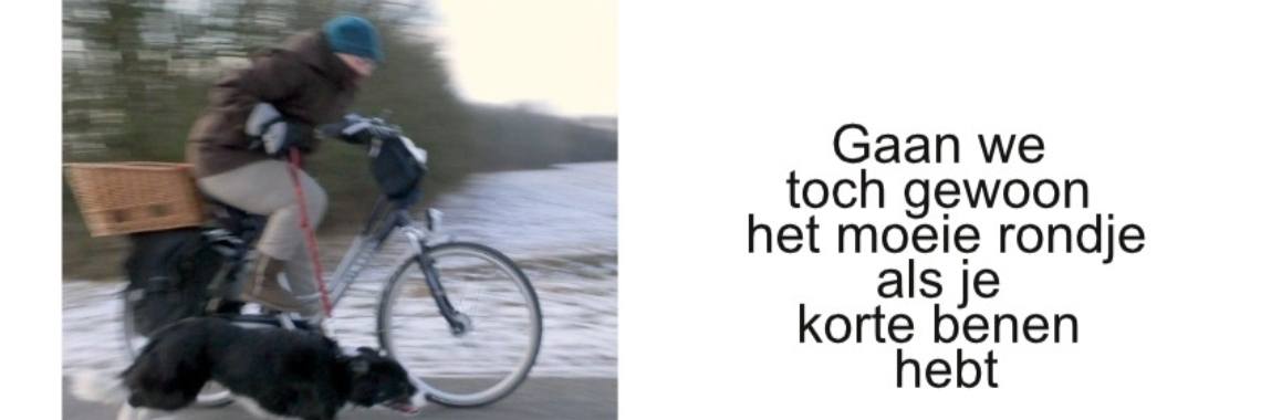 Het Lambieksyndroom en andere versprekingen | karazmin