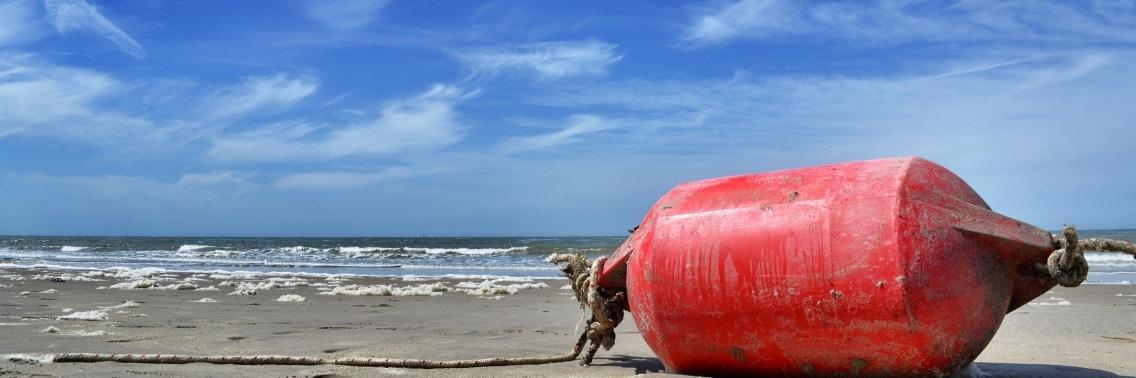 De rechten en plichten van Yoors, deel 2 | Yoors Trivia