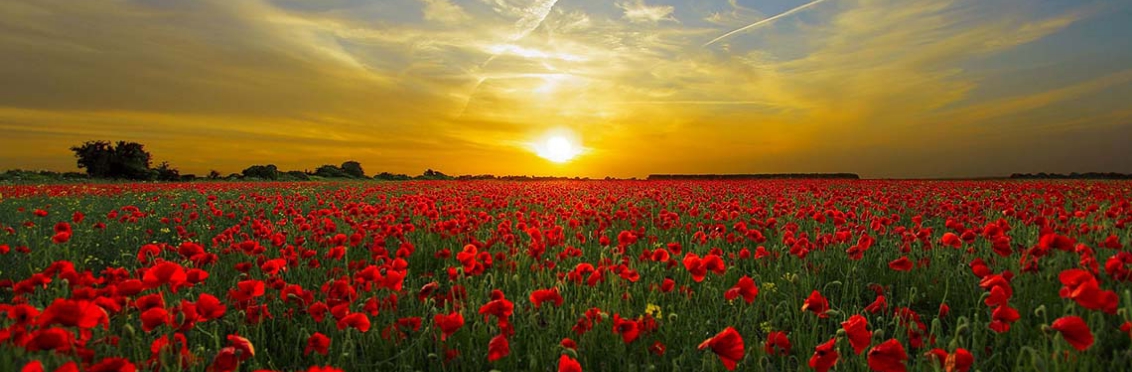 Pinksteren kunnen we allemaal verstaan!  | JV