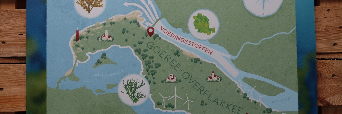 Bezoek aan A Seal - zeehondenopvang Stellendam | Elles Creative Blogger