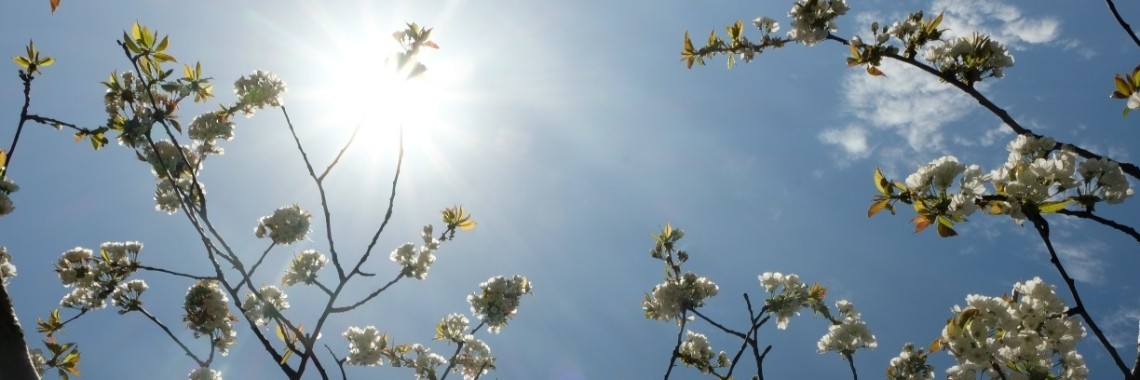 Challenge - welke muziek hoort voor jou bij LENTE? | Elles Creative Blogger