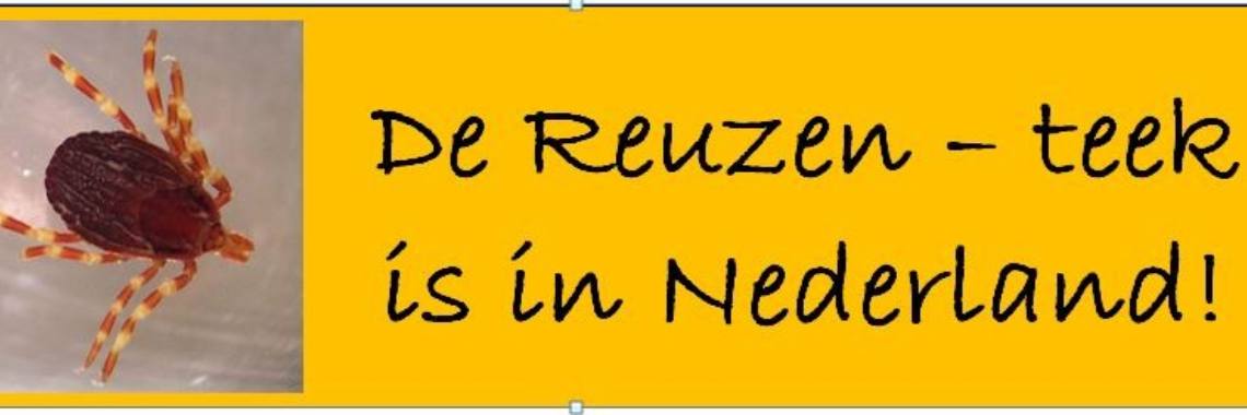 De reuzenteek is in Nederland, maar: GEEN PANIEK | Elles Creative Blogger