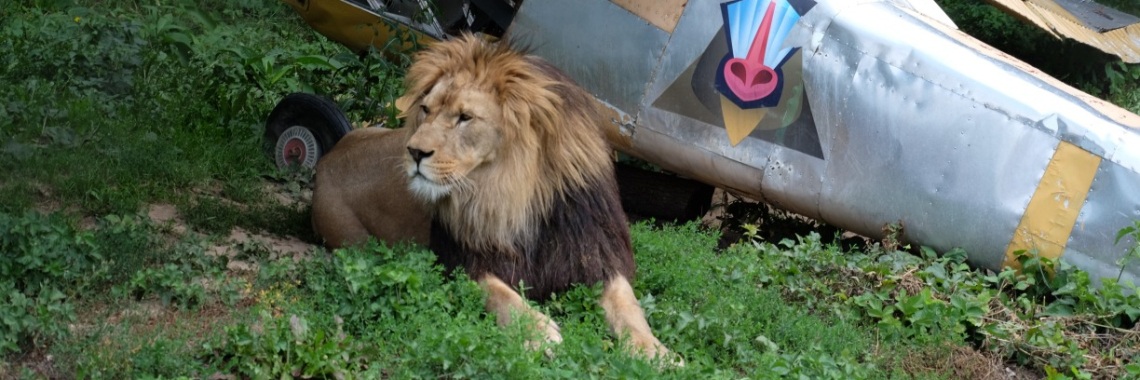 foto- en reistips: safari-park Dvur Kralove - Tsjechie | Elles Creative Blogger