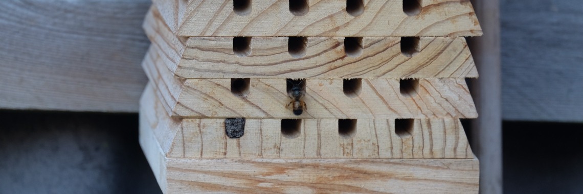 Gasten in ons bijen - hotel! | Elles Creative Blogger