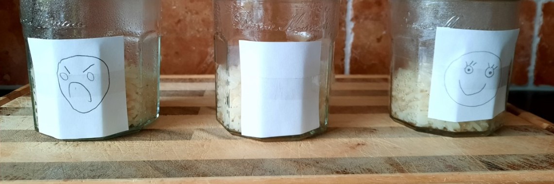 Challenge: Join the rice experiment - the effect of positive and negative energy | Elles Creative Blogger