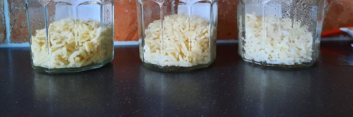 Het rijstexperiment - na 10 dagen | Elles Creative Blogger