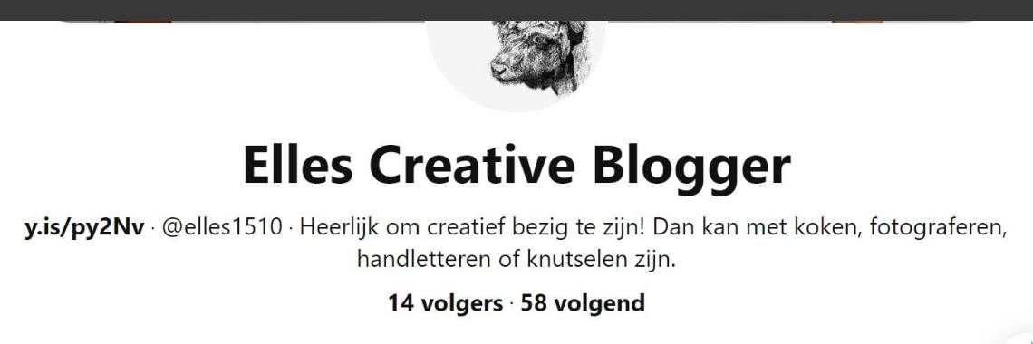 Miten se voi olla, minulla on vain 14 seuraajaa Pinterestissä! - Seuraatko minua vielä? | Elles Creative Blogger