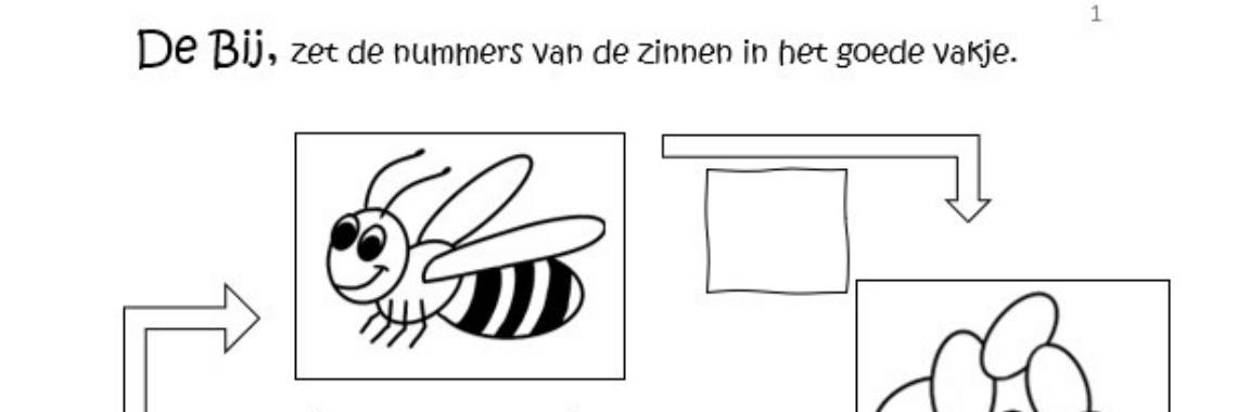 Leestekst middenbouw de levenscyclus van de bij - download | ellesvandenbroek