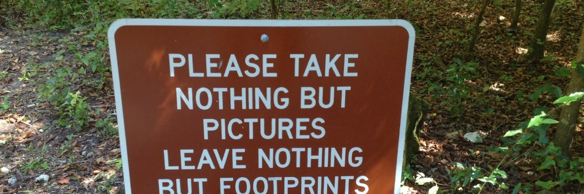 Mijn favoriete Quote - een mooi voornemen in de natuur! | Elles Creative Blogger