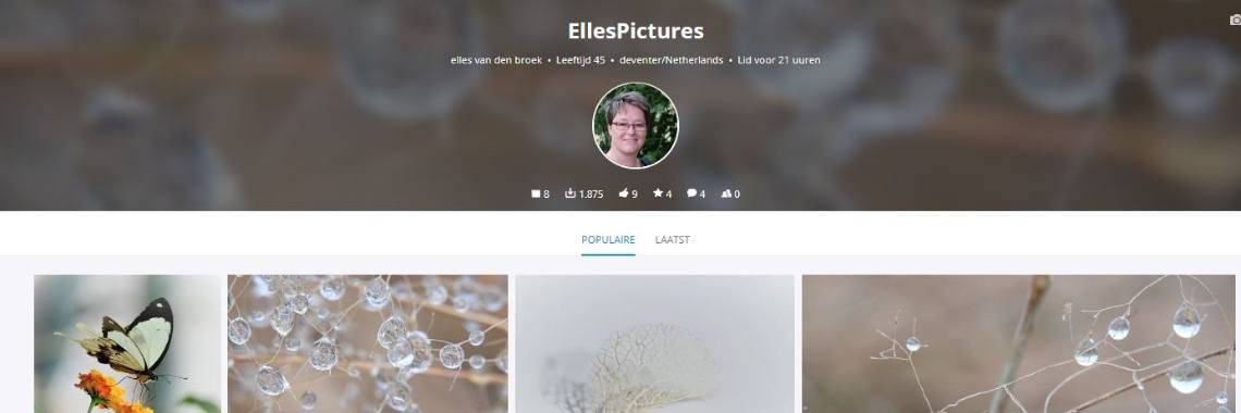 Mijn foto's op PixaBay - My Pictures on PixaBay | Elles Creative Blogger