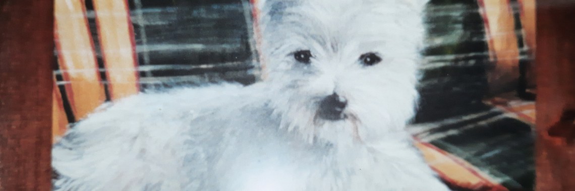 My works in acrylic and soft pastel 10 | Elles Creative Blogger