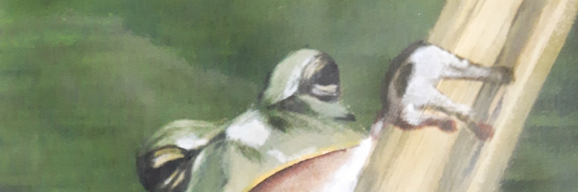 My works in pastel and soft pastel 9 | Elles Creative Blogger