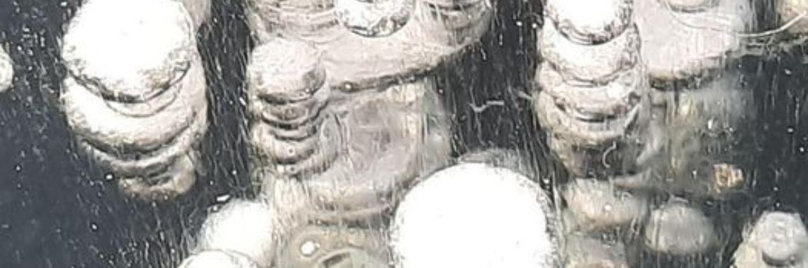 Natuurlijke ijssculpturen | Elles Creative Blogger