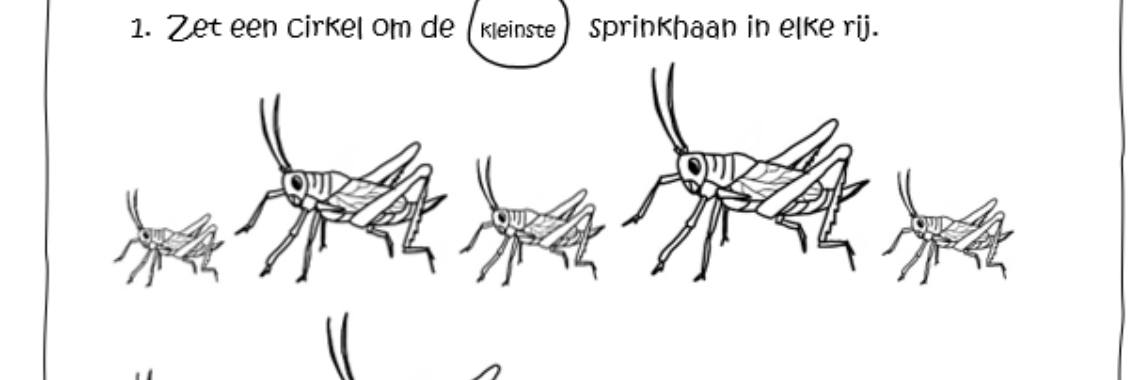 Rekenen met sprinkhanen: grootste - kleinste, onderbouw | ellesvandenbroek
