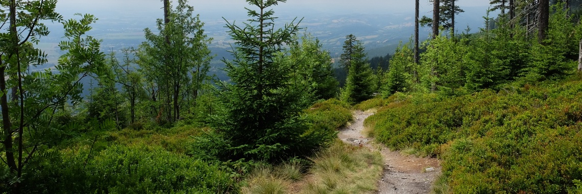 Tsjechie - Janske Lasne - wandeling vanaf de top! | Elles Creative Blogger