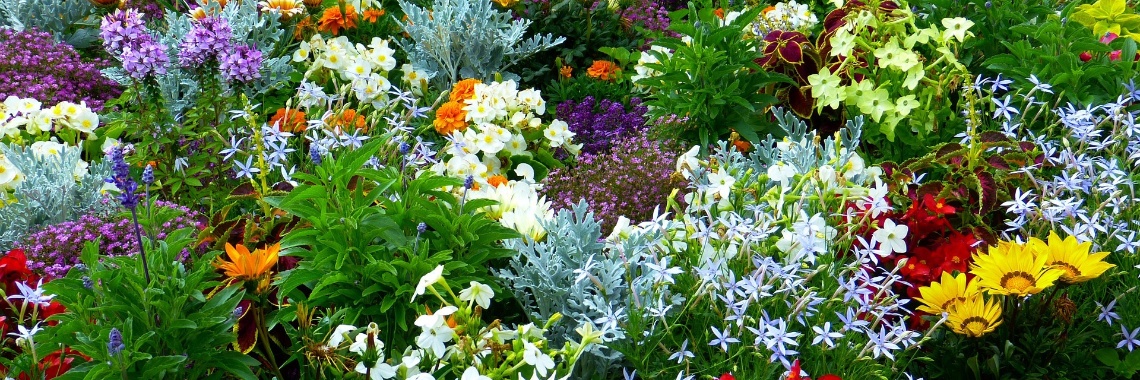 Tuinplan maken aan de hand van plek in de tuin...