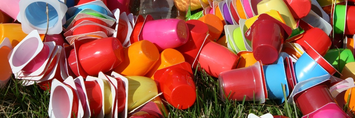 Verbod op wegwerpplastic in EU (3 juli 2021) | Elles Creative Blogger