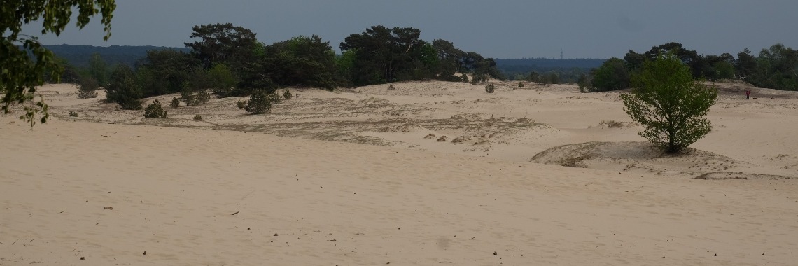 Wandelen bij Kootwijkerzand - Hiking in the Netherlands, Kootwijkerzand | ellesvandenbroek