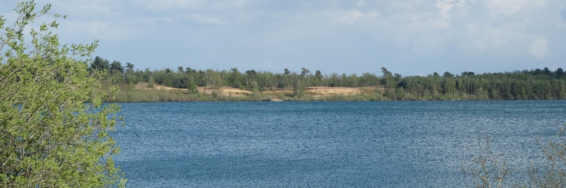 Wandelen in de Maasduinen - een aanrader! | Elles Creative Blogger