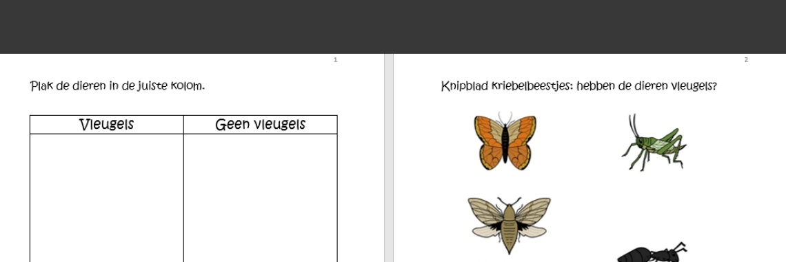 Werkblad insecten en spinachtigen - pootjes en vleugels | ellesvandenbroek