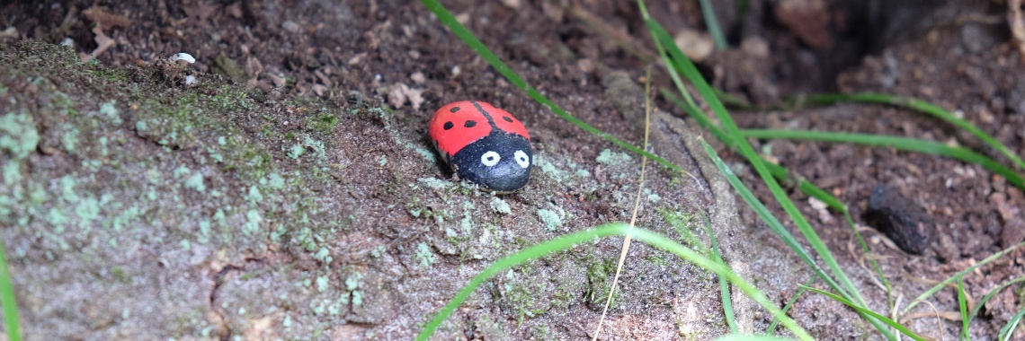 Yoors Stones - Dit lieveheersbeestje is gaan zwerven | Elles Creative Blogger