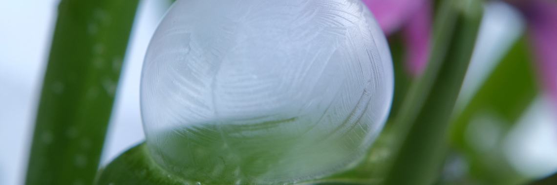 Zeepbellen laten bevriezen - Les 31 Yoors Fotografie Cursus | Elles Creative Blogger