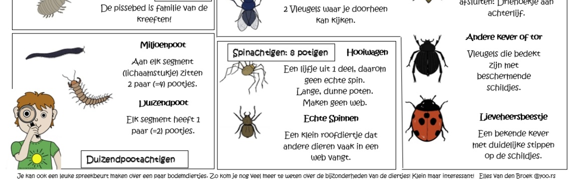 Zoekkaart Bodemdiertjes met informatiekaart - Gi-Ga-Groen KBW '22 | ellesvandenbroek