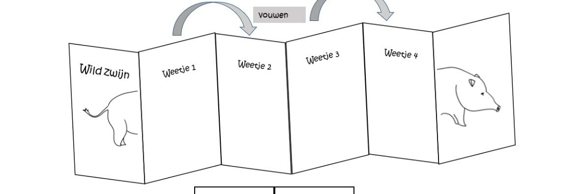 Informatie-harmonica maken - printable en informatiebladen | ellesvandenbroek