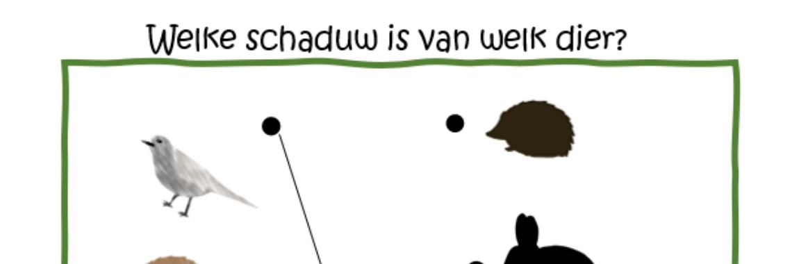 Zoek de bij passende schaduw - sluit aan op het prentenboek 'De slimme bosdieren' | ellesvandenbroek