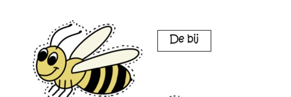 Maak een giga-bijenkorf in de klas -levenscyclus van de bij. | ellesvandenbroek