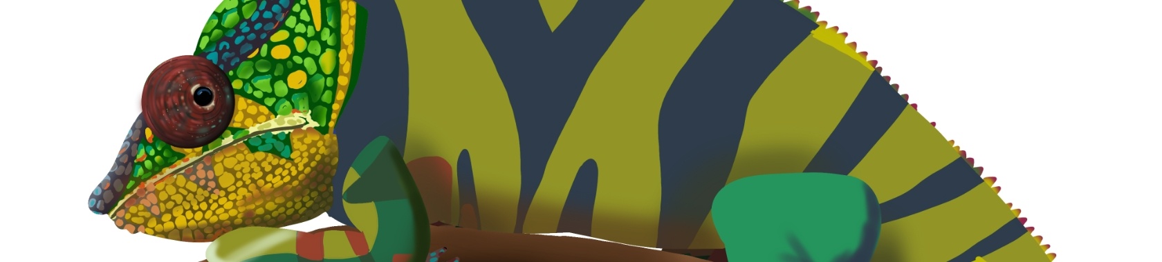 Stap 2 van de Kameleon | Elles Creative Blogger