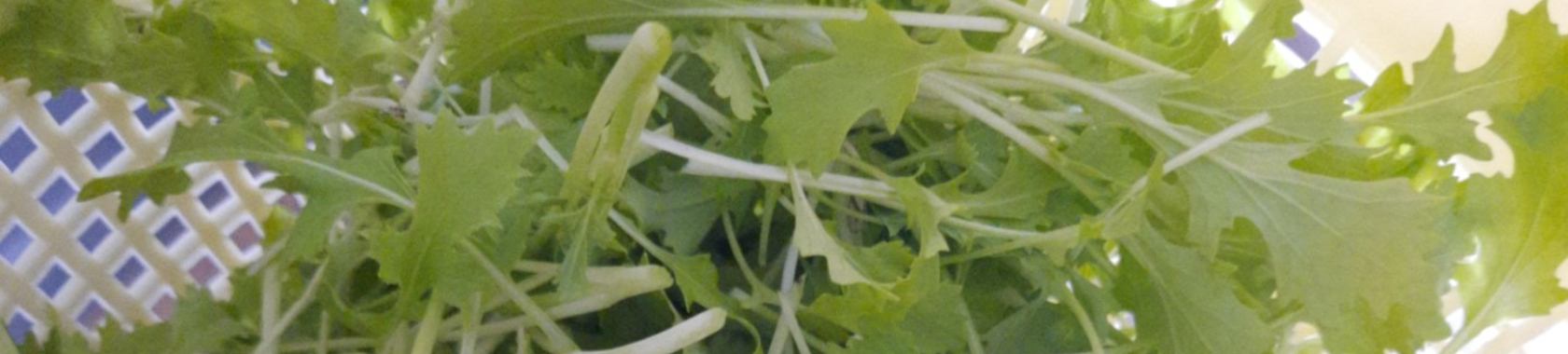 Quiche van Bladmoes - moestuingroente | Elles Creative Blogger