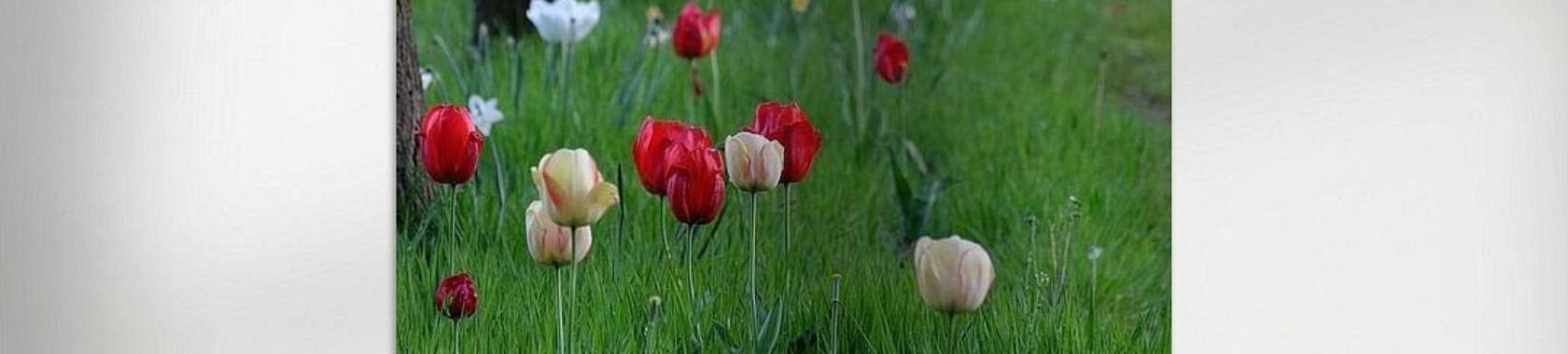 Foto verkocht via Werk aan de Muur - zo gaaf! | Elles Creative Blogger