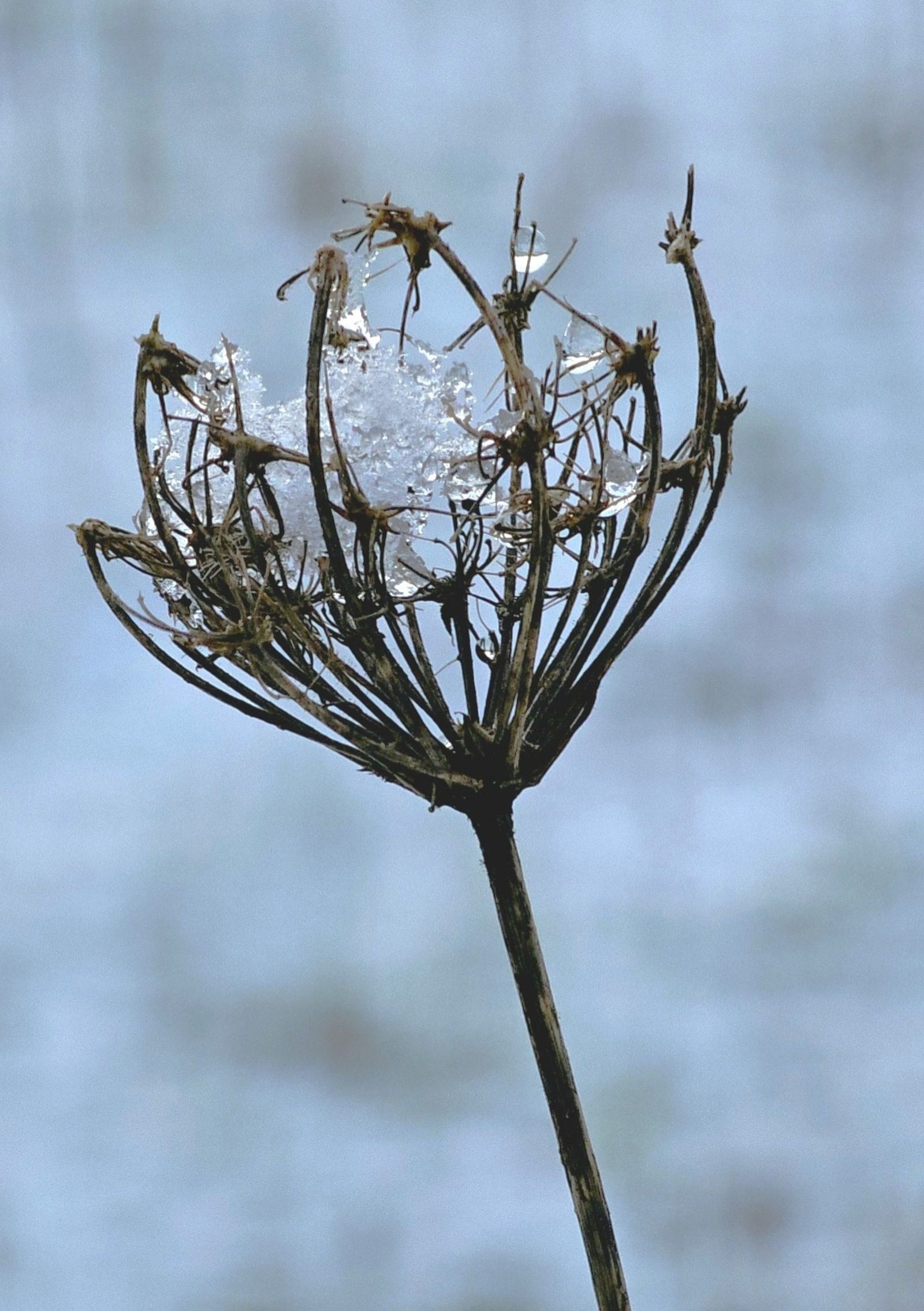 Een beetje winters | Elles Creative Blogger