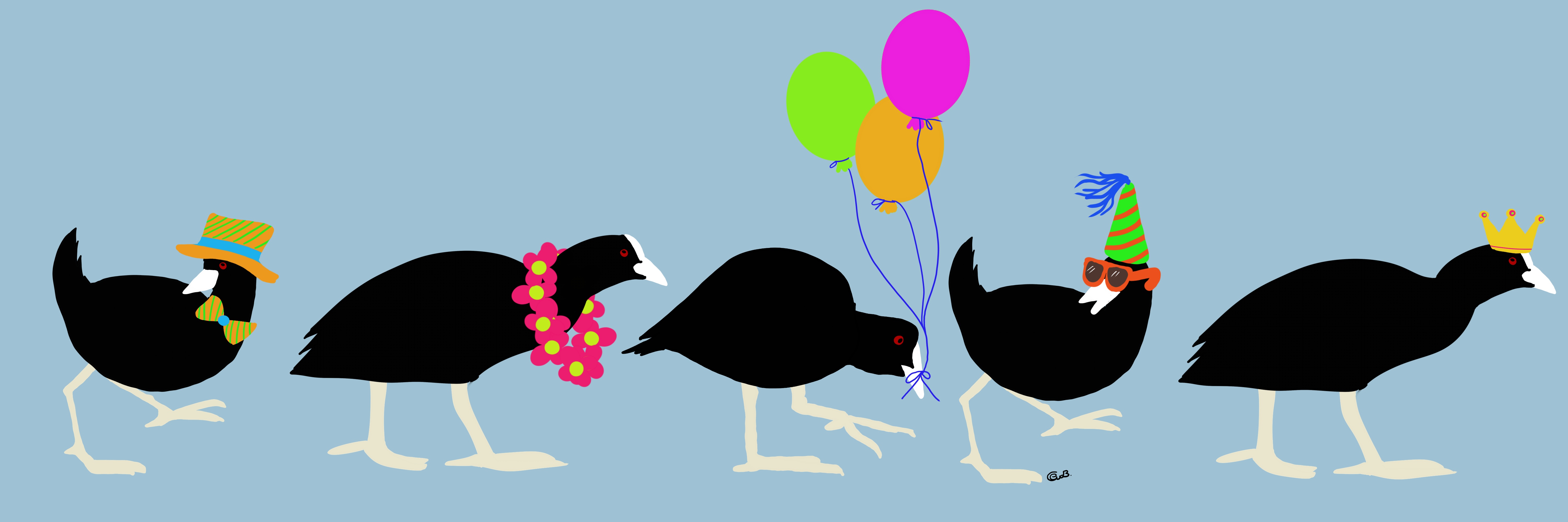 Meerkoetenparade - geen 140 woorden | Elles Creative Blogger