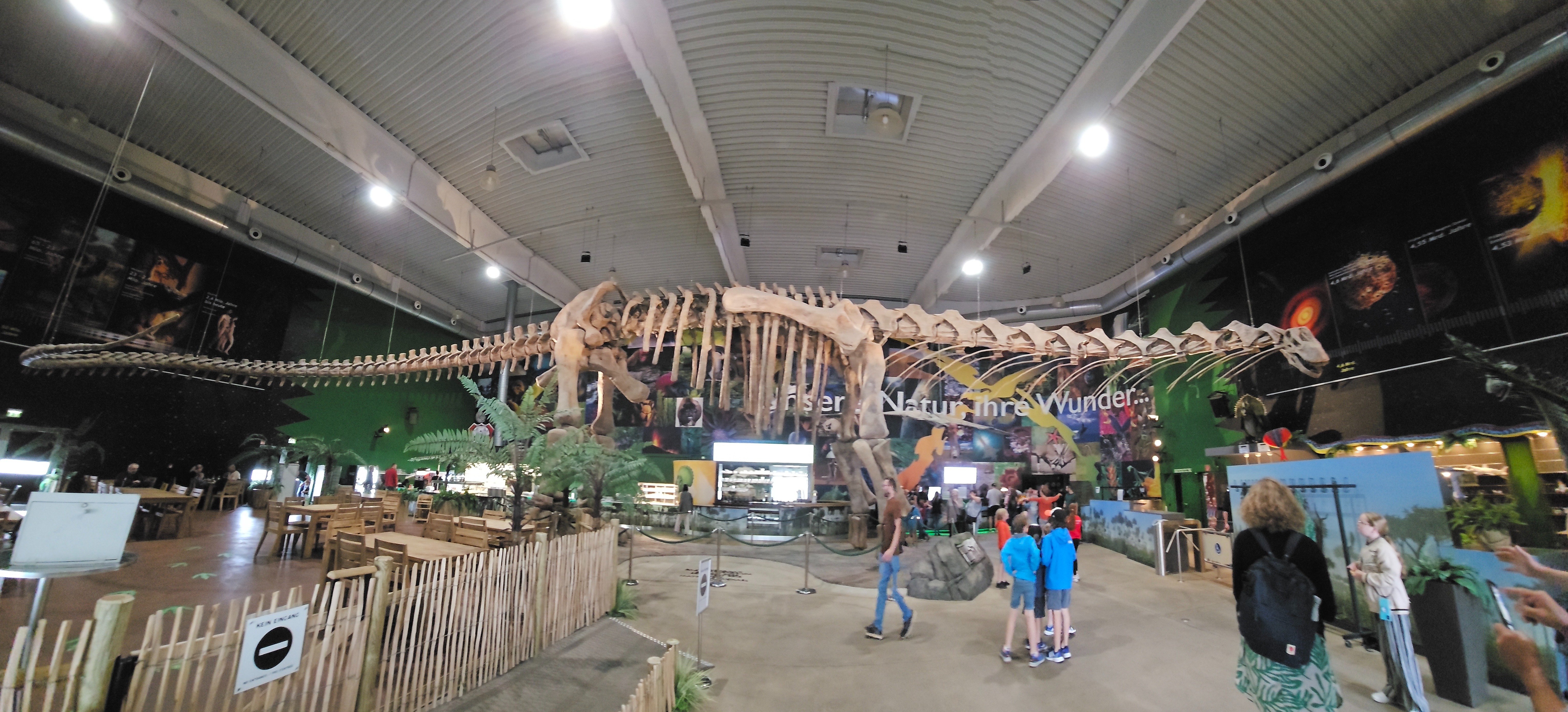 Gondwana - Prehisto en Dinopark Duitsland | Elles Creative Blogger