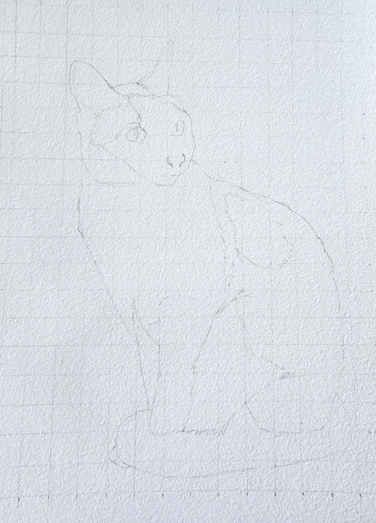 Domestika  - aquaralstudie Siamees | Elles Creative Blogger