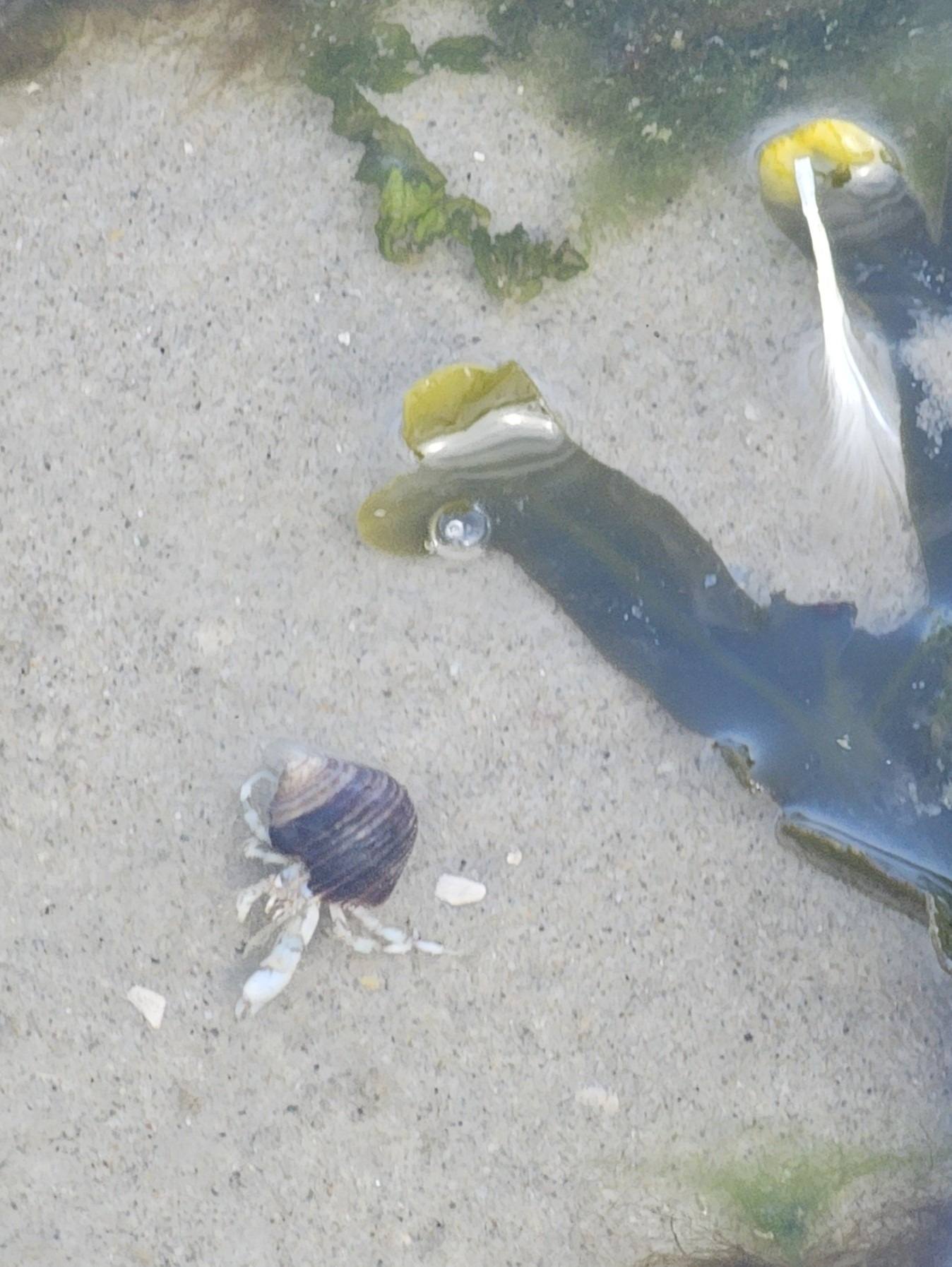 Foto-blog Schiermonnikoog | Elles Creative Blogger