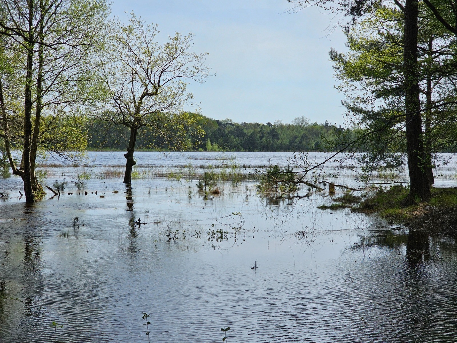 Water water water - Leersumse Veld | Elles Creative Blogger