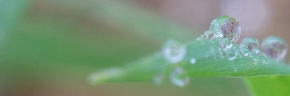 1 maart complimentendag | Elles Creative Blogger