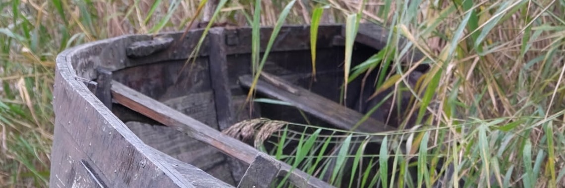 De boot gemist | peerke70